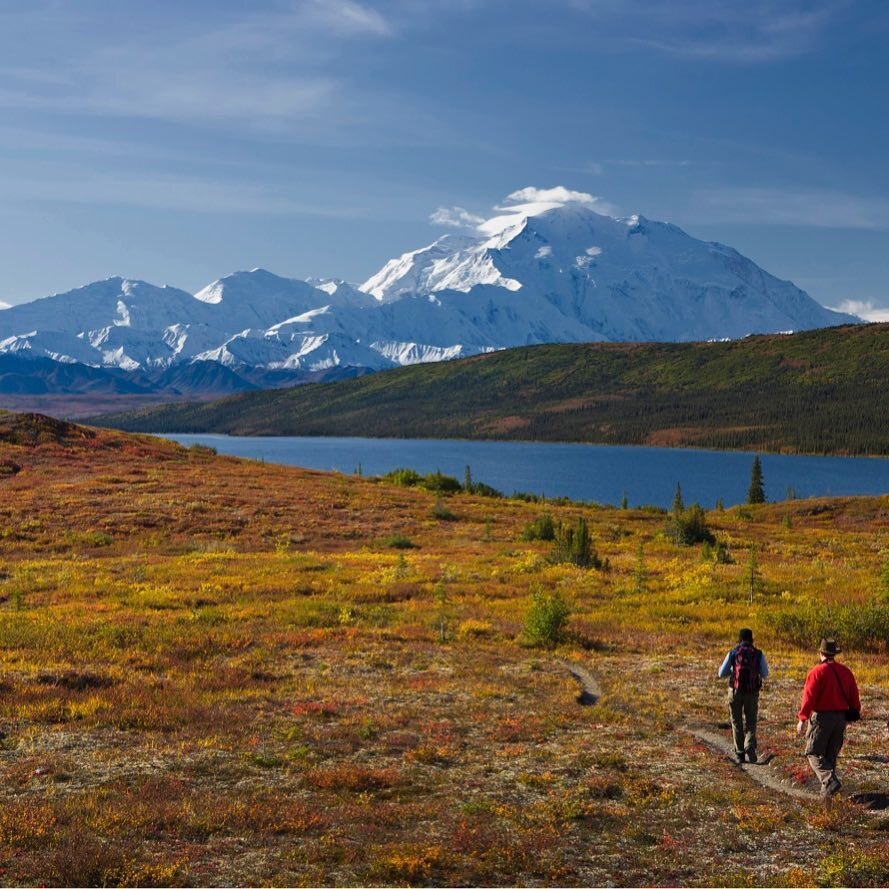  Hikers walking in Denali National Park near Alaska Wildland Lodge 