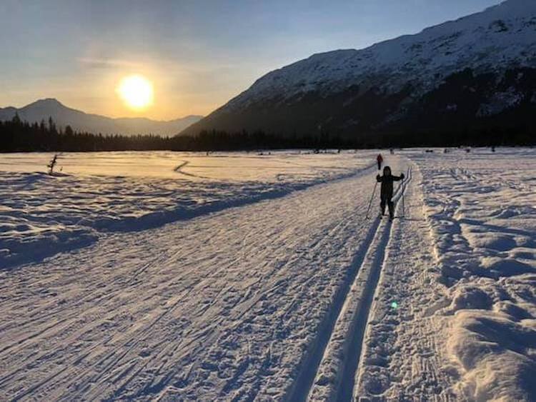  Person cross-country skiing at dusk 