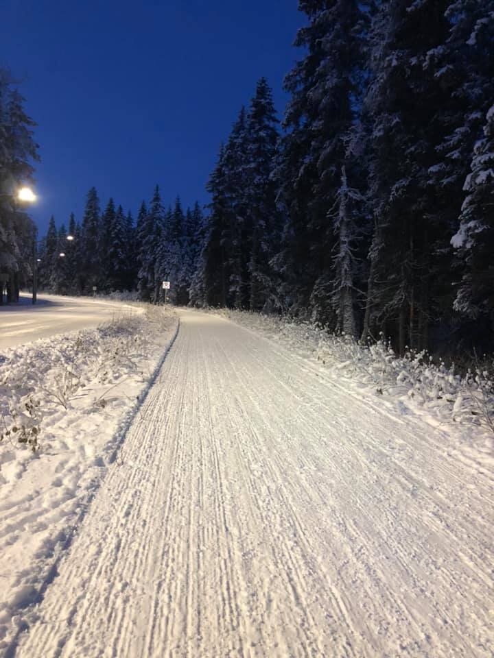  The bike path in Girdwood after being groomed for cross country skiing 