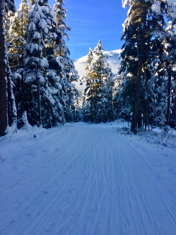  Snow packed trail on the 5K loop 