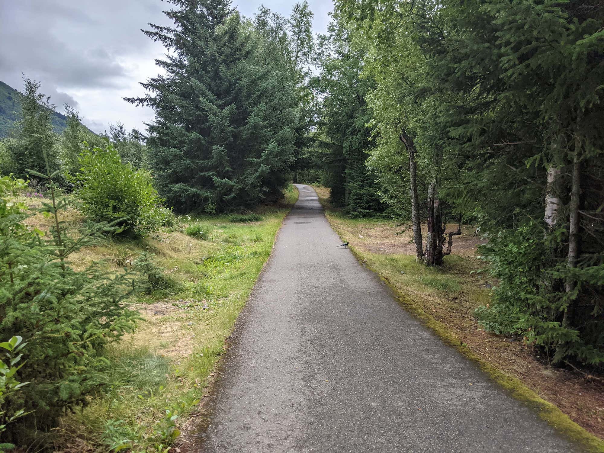 Bird Creek Bike Path