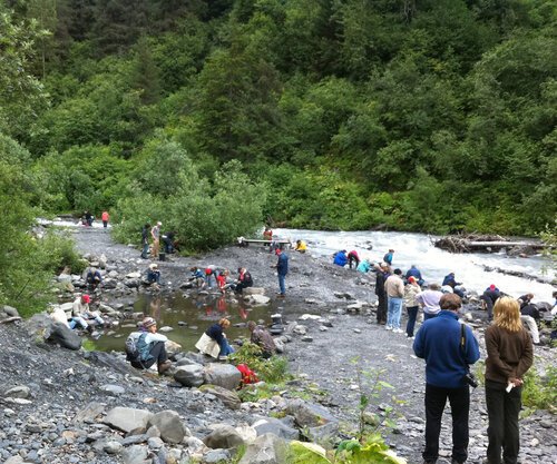  Crow Creek panning for gold  