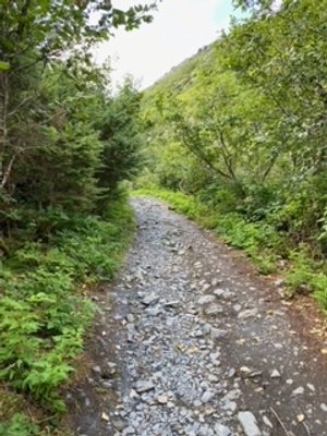  Trailhead to Portage Pass Hike  