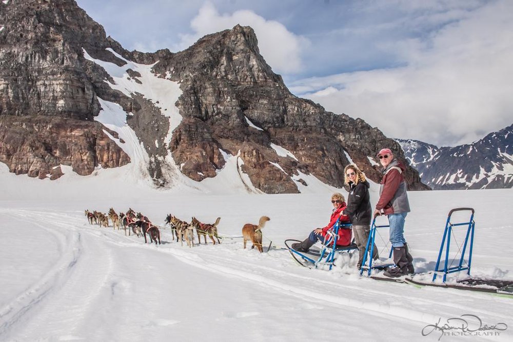 Dog Sledding