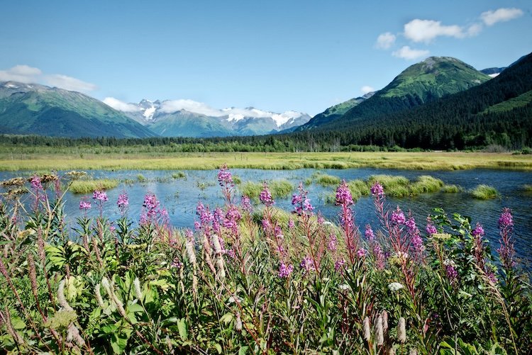  Picture of mountains with Chugach Properties  