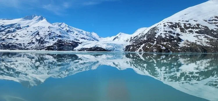  Glacier viewing on Portage Glacier Cruise 