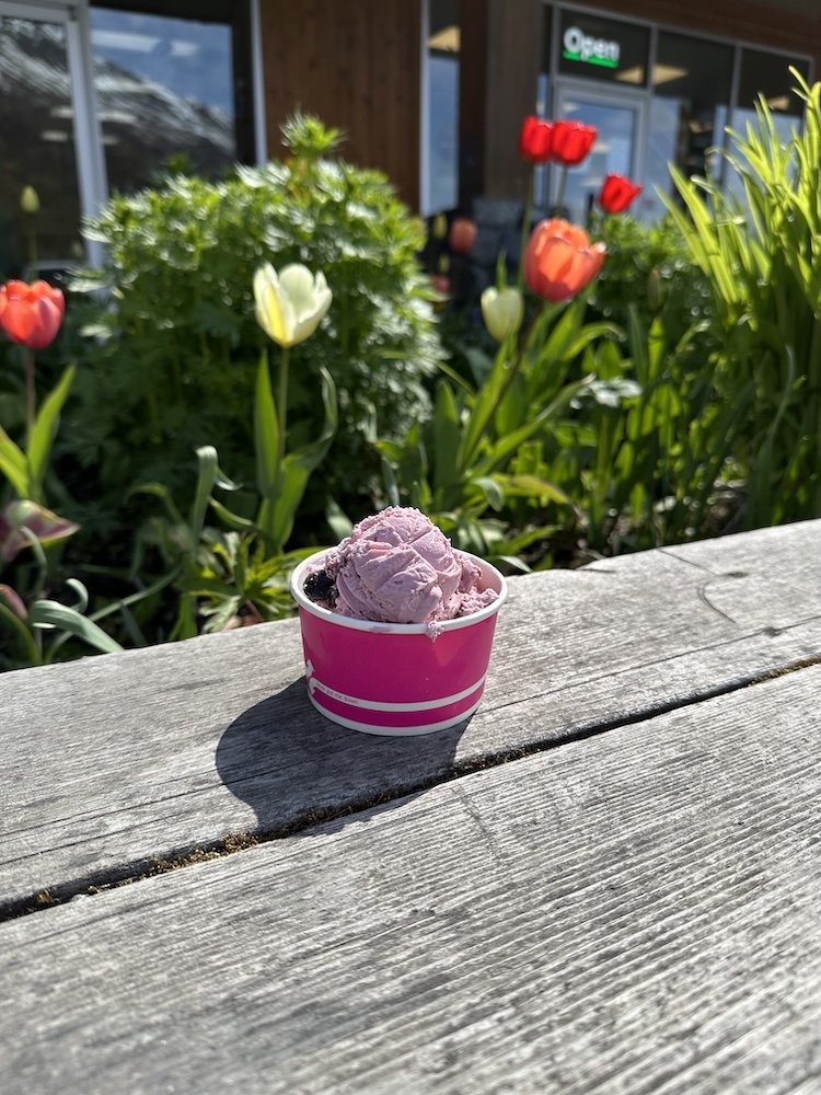 Scoop of ice cream from The Ice Cream Shop