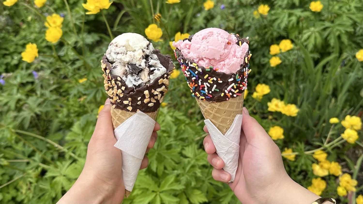 The Ice Cream Shop