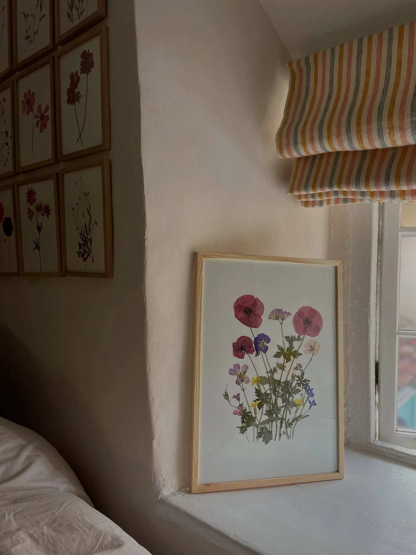 Holding on to summer at home🌞⏳
A pressed bouquet that recently flew the nest - I thought these were the last poppies of the season, but saw a couple still growing in the fields this week. The bright blue flax fields, before they went over. A drowsy 