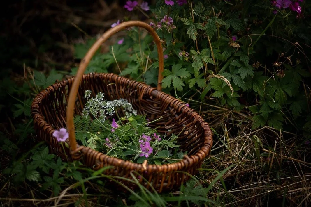 Full basket nostalgia, best served on dark November nights 🥀

My little room at the top of the stairs is currently brim full with stock for December events. Stacked presses from as early as July. It takes so long to build up enough pressed flowers f