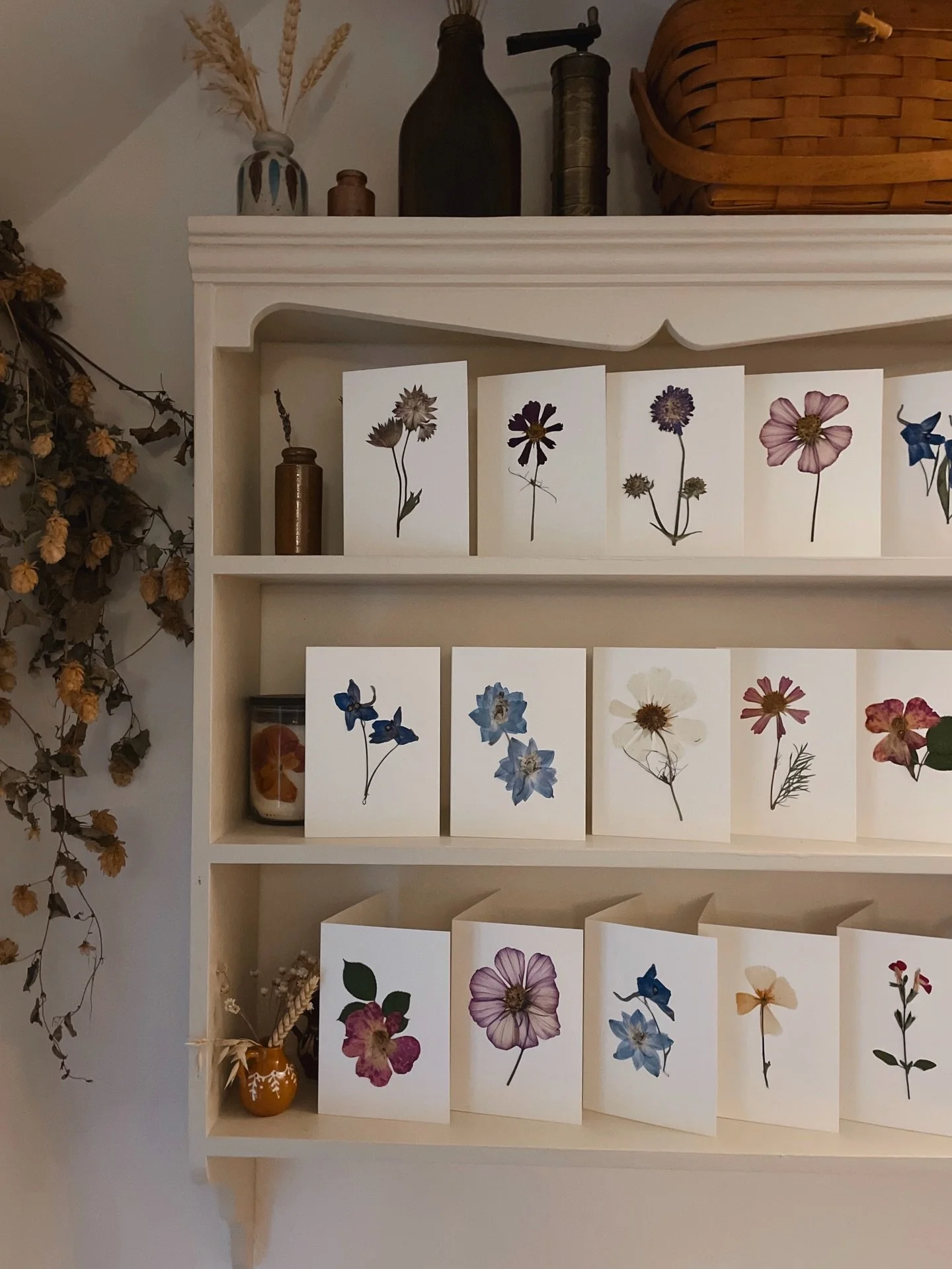 Meadow-making thru the winter for the sweetest new store in London @atthedairy 🌸🥛🐄

#meadowflowers #pressedflowers #atthedairy