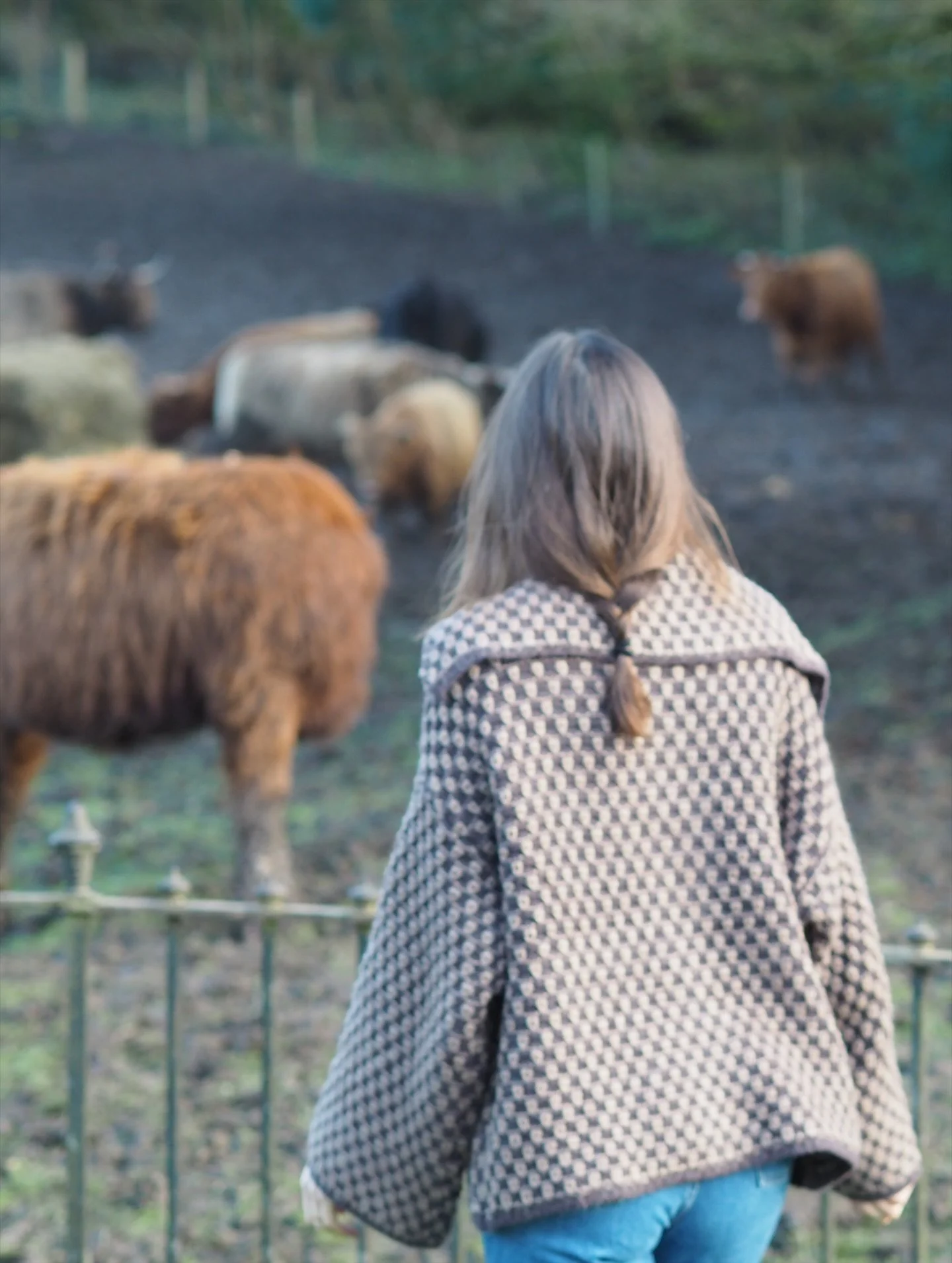 Early spring colour palette in this deep, wet valley is brown and green with a pop of homegrown daffodil and that&rsquo;s basically me all over. The cows are my favourite neighbours. In another week, the colours and light will be different, and I lov