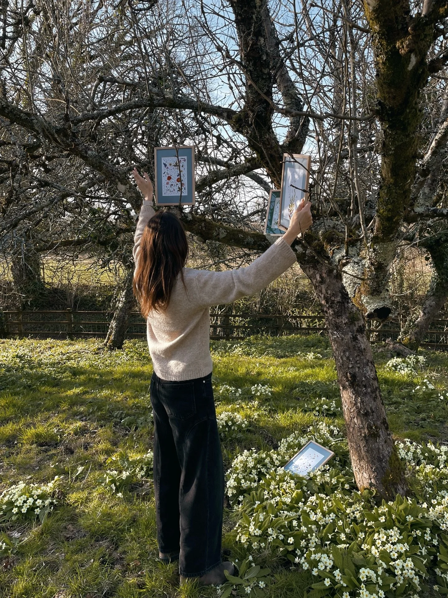I found the perfect primrose orchard. Ready to hang drop ~ a little collection of mounted and framed prints, joining my website this Easter Sunday, 5th April 🌿🌼