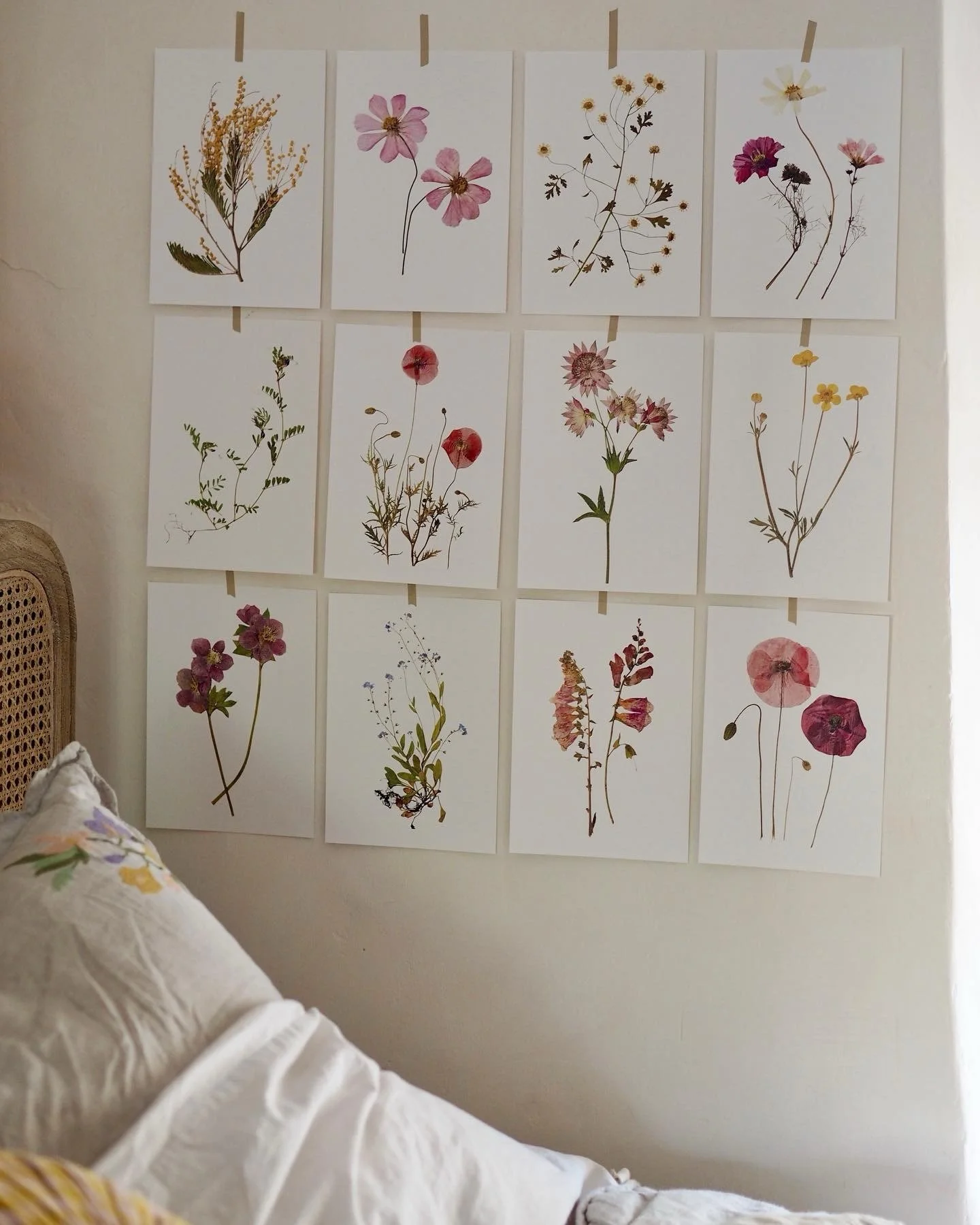 My pressed flower prints, original art and stationery are now available on the @holly.co marketplace, just in time for wildflower season 🌿🌸🌼