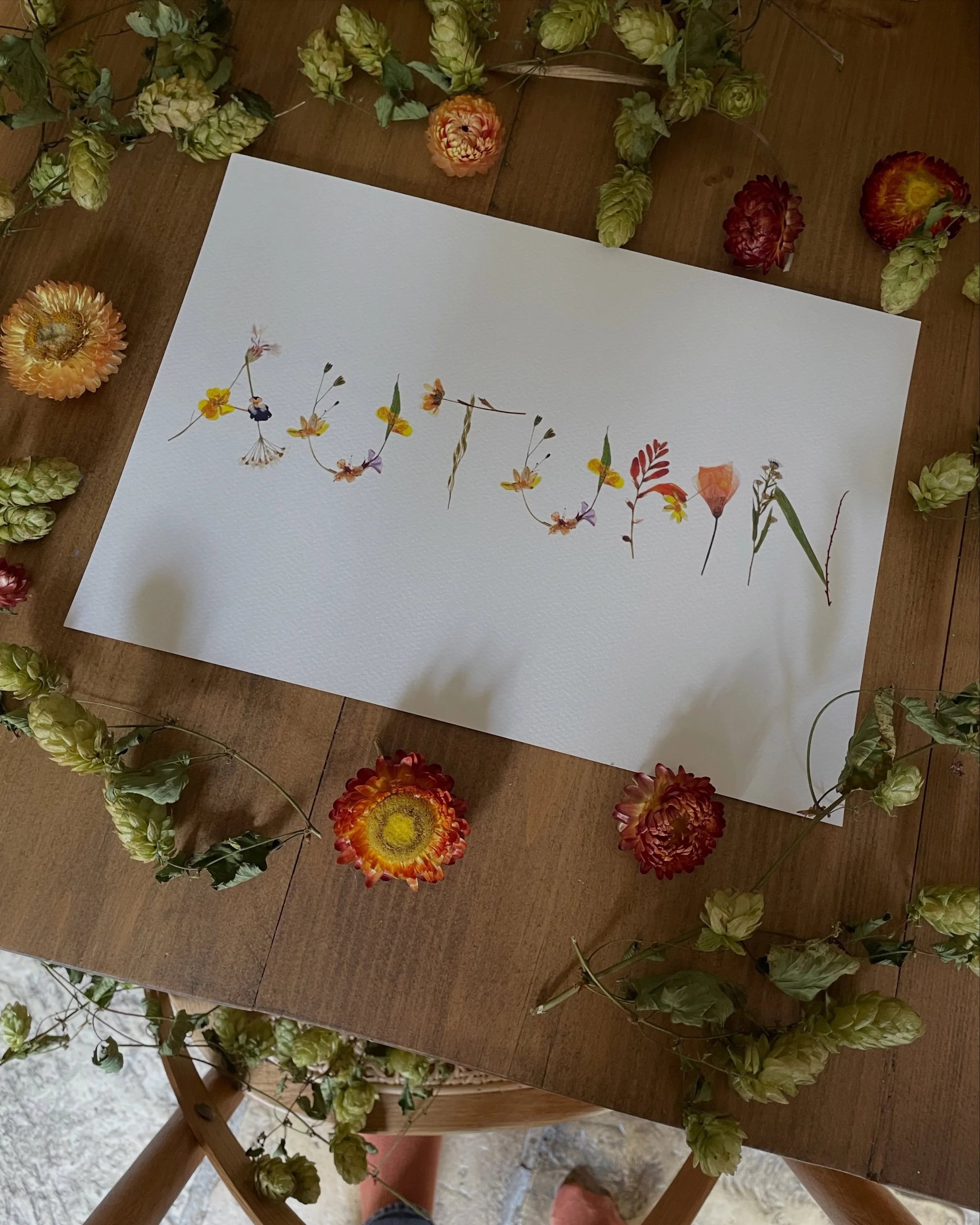 The season of witchy, woodsy baby names has arrived. I might be biased (slide 4) but I really feel like autumnal baby names are the most magical 🪄✨
Name prints in my shop, in my bio