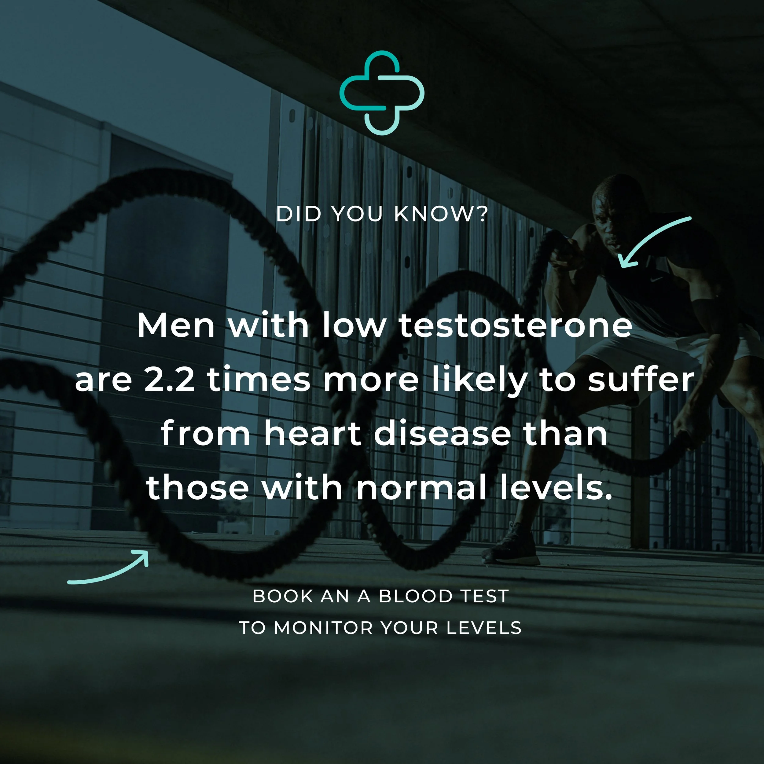 TESTOSTERONE_.jpg