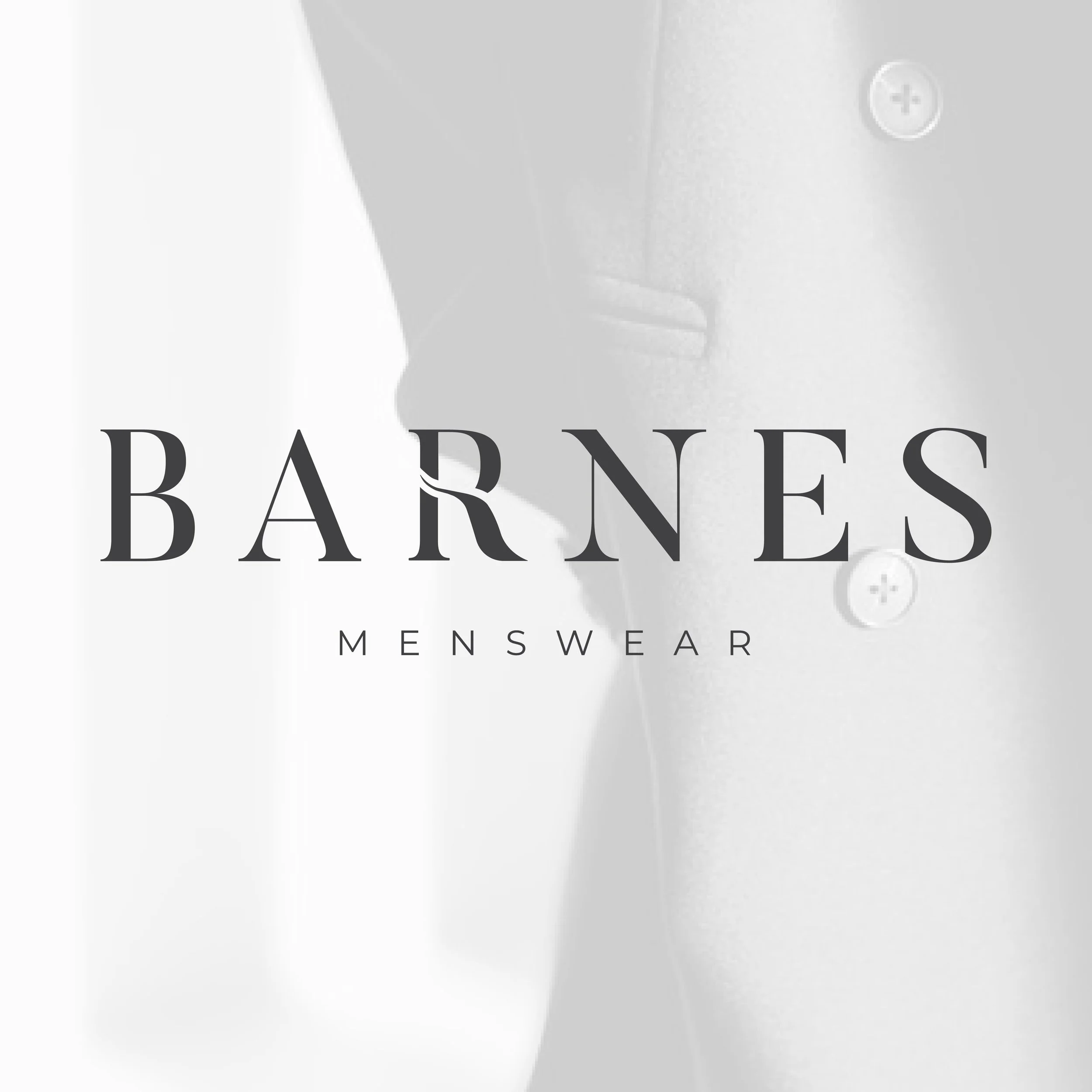 Barnes-LOGO1.jpg