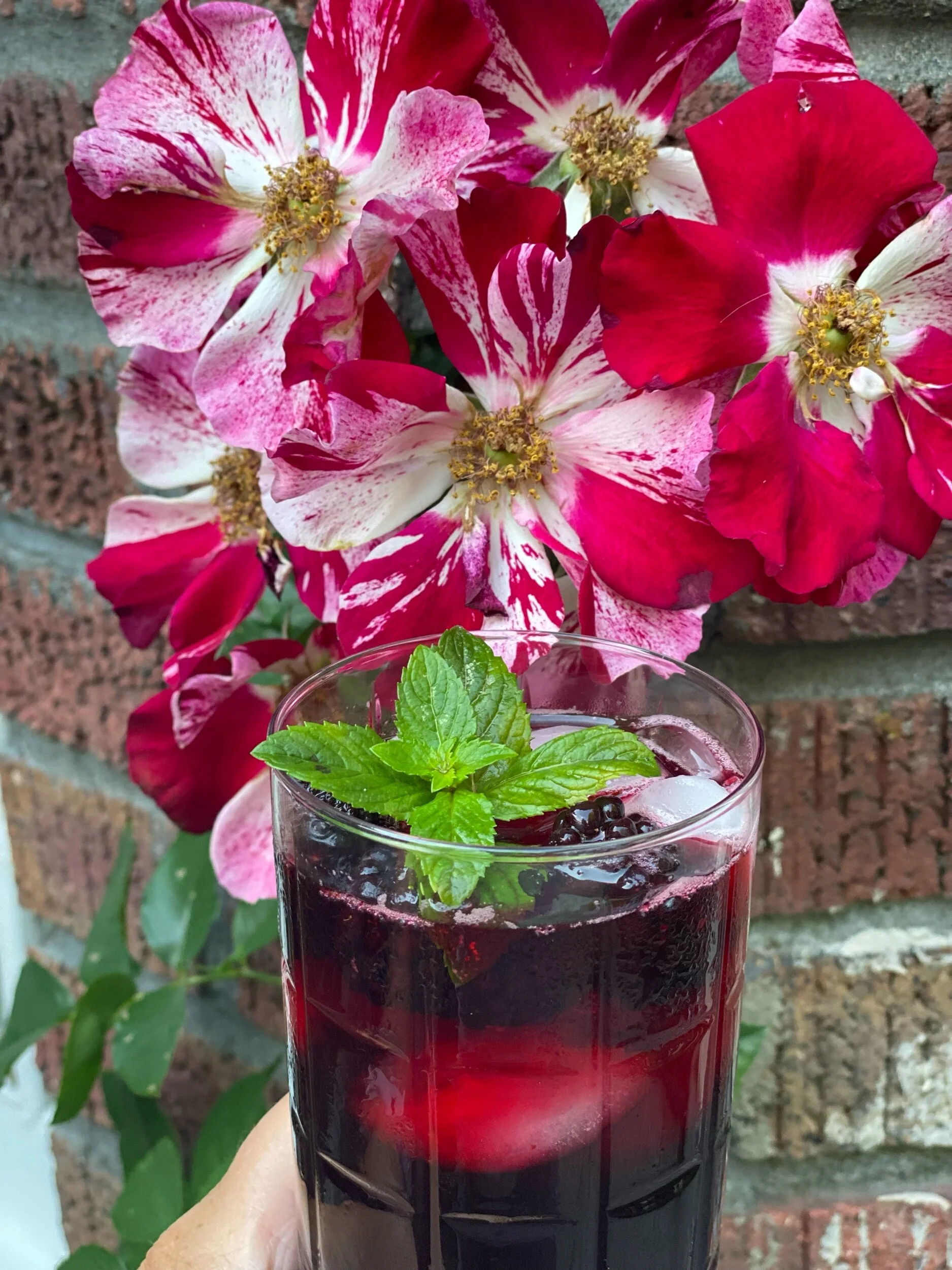 Hibiscus Agua Fresca