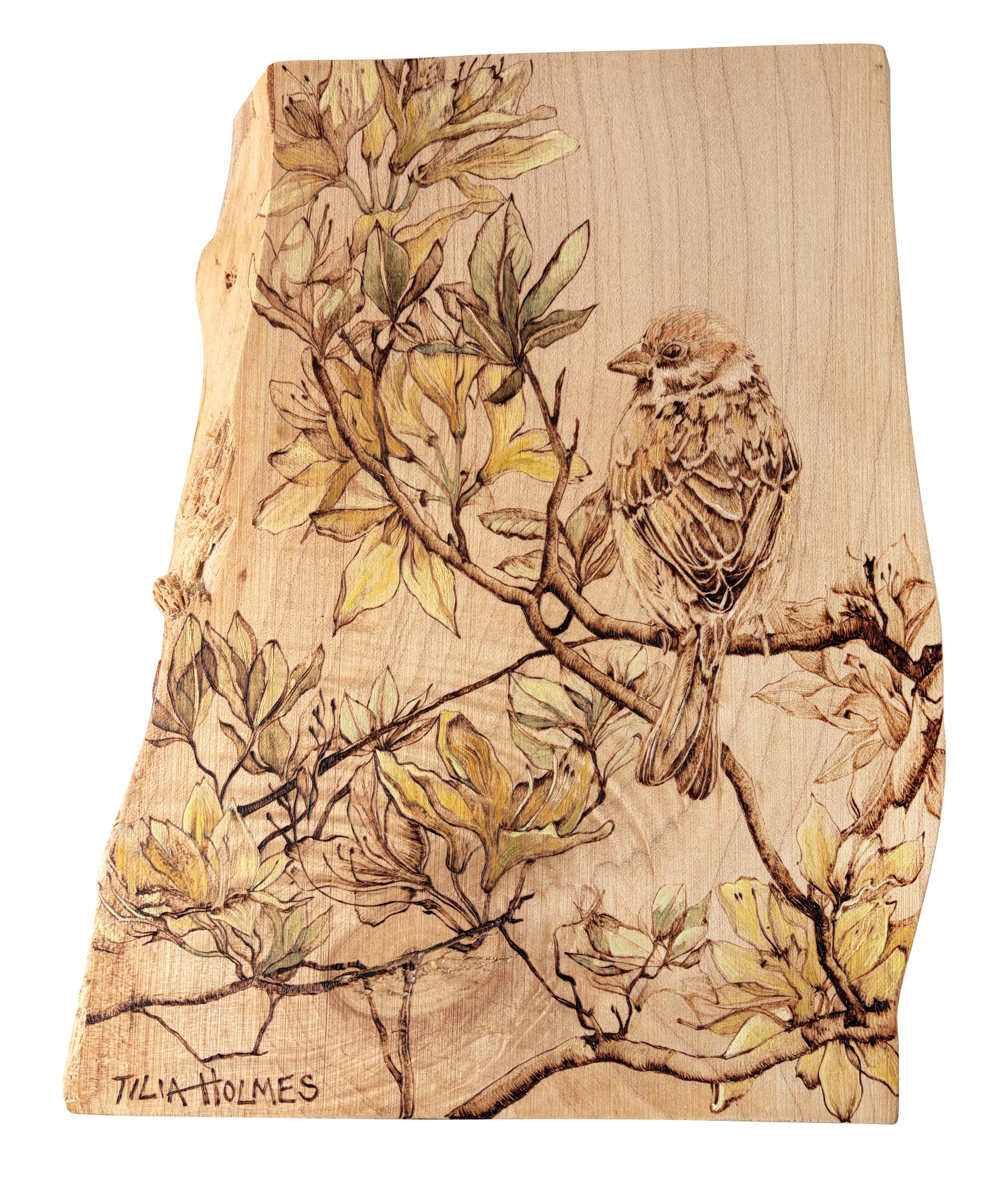 flame-azalea-pyrography-oil-painting-sycamore.jpg