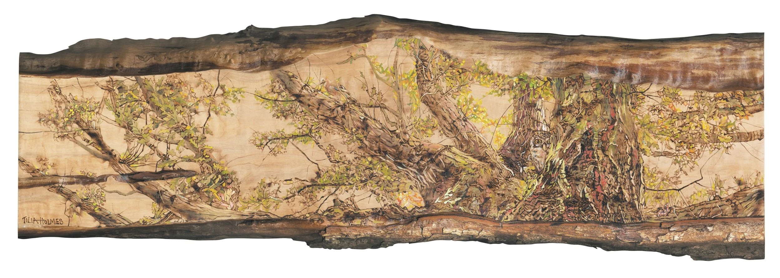 Owl & the Oak Pyrography Oil Painting lowres.jpg