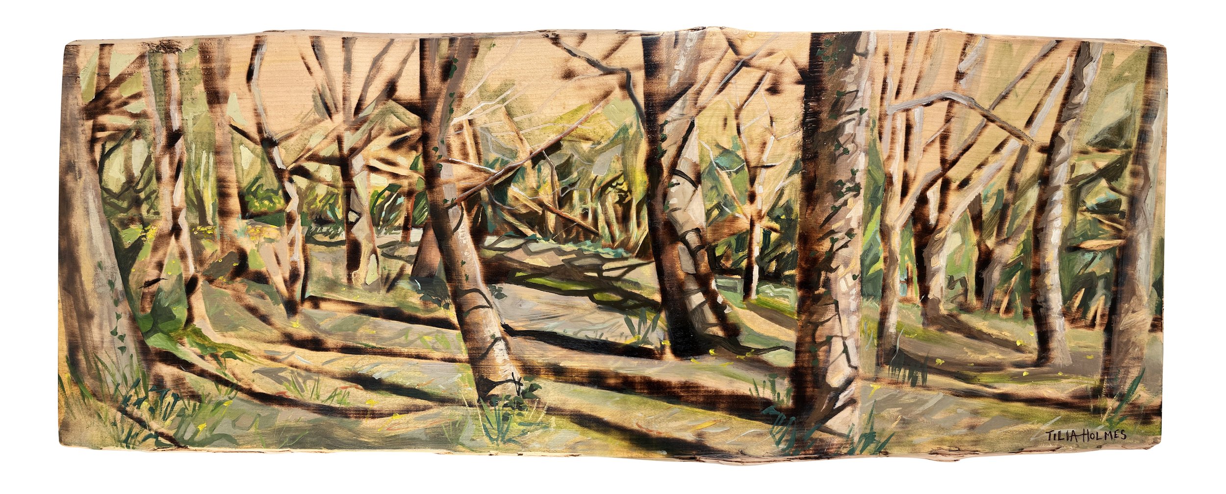 Plein-air-woodland-scorching-oilpainting.jpg