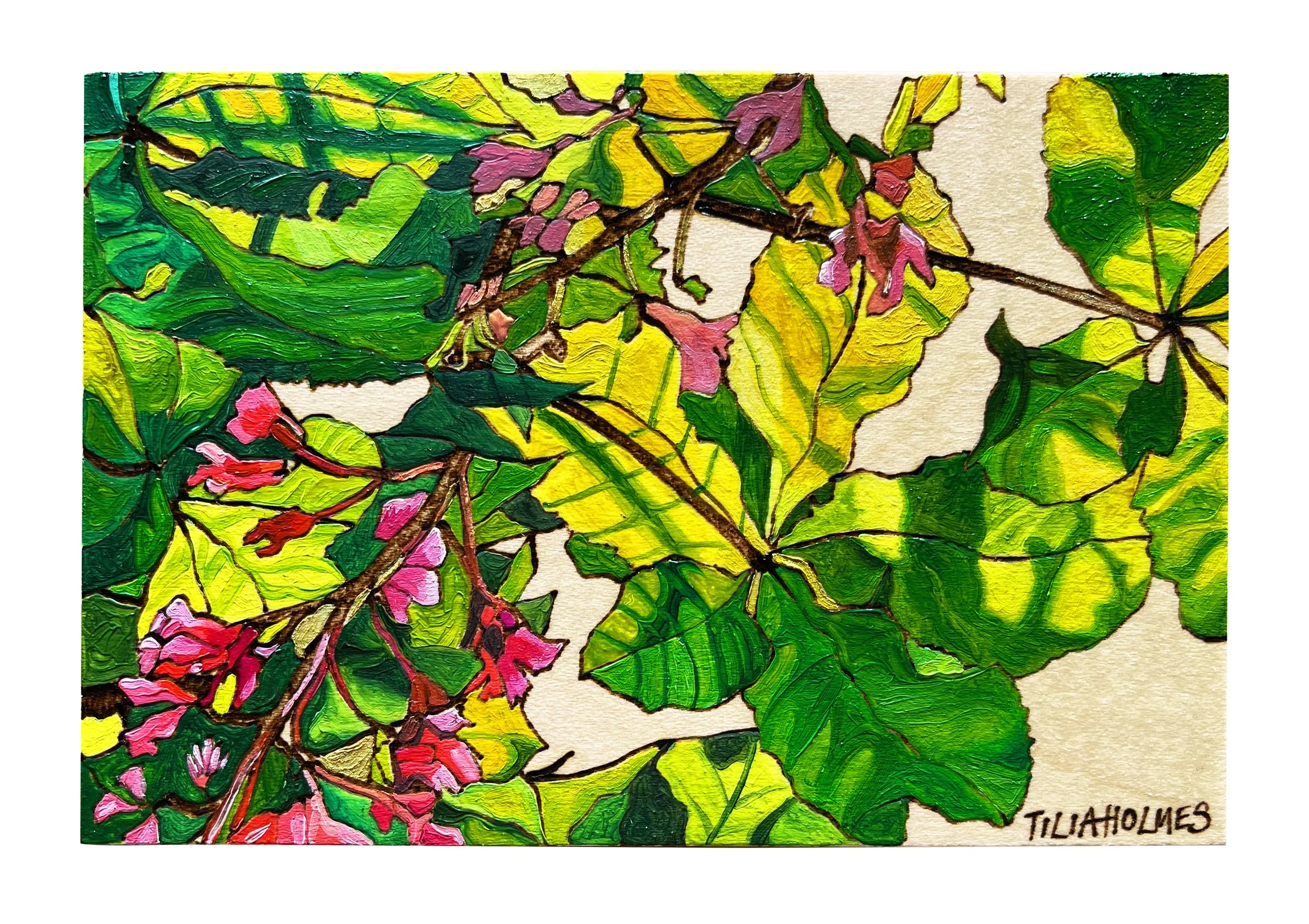 Firecracker postcard for website.jpg