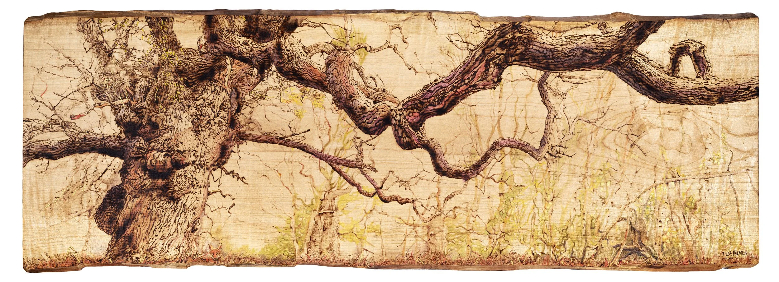 The Fox and the Woodpecker pyrography painting.jpg