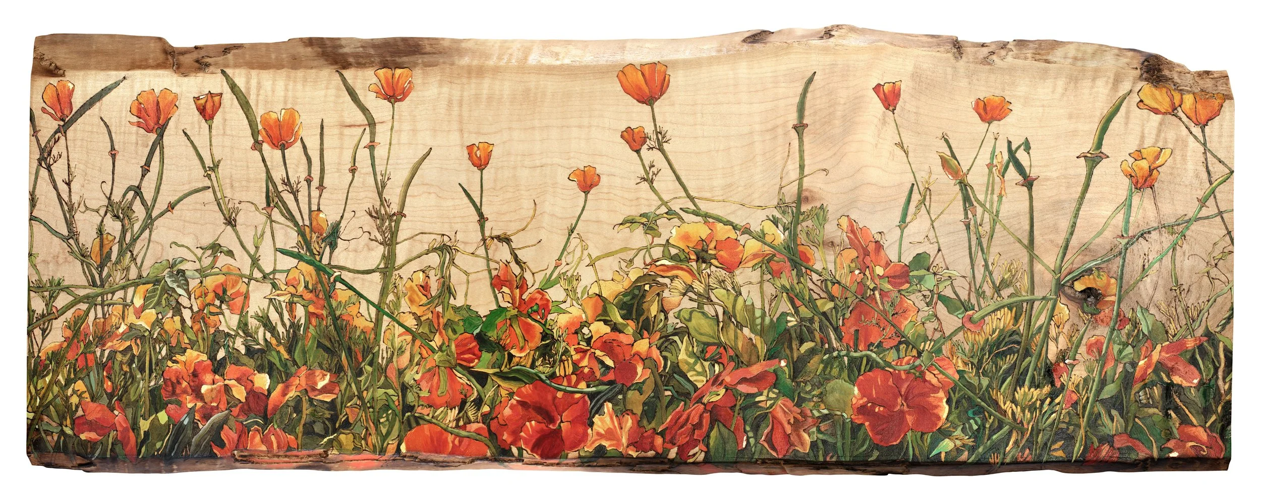 California Sunlight pyrography oil painting wood fineart.jpg