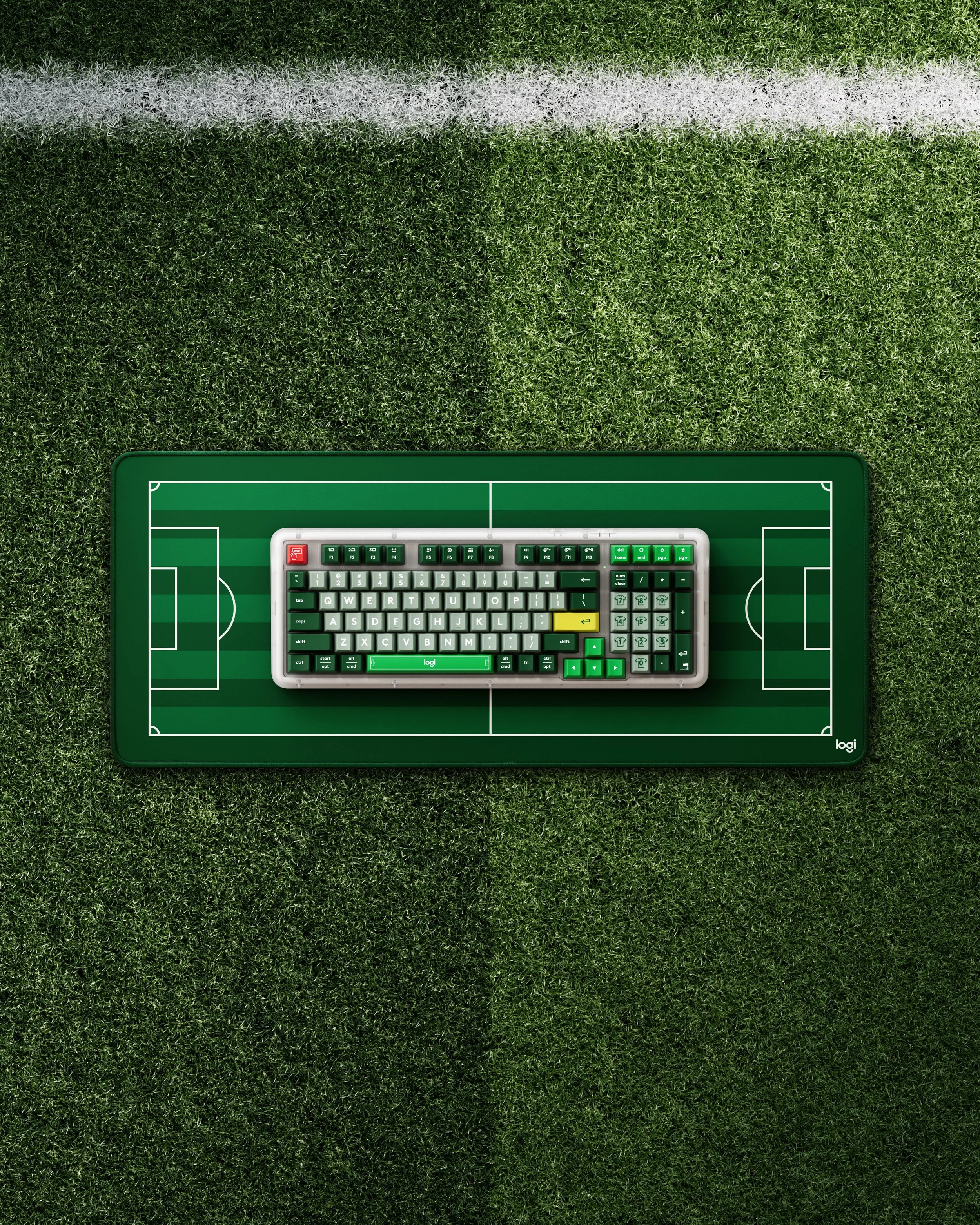 260604_Fujian_WC_Top_Grass.jpg