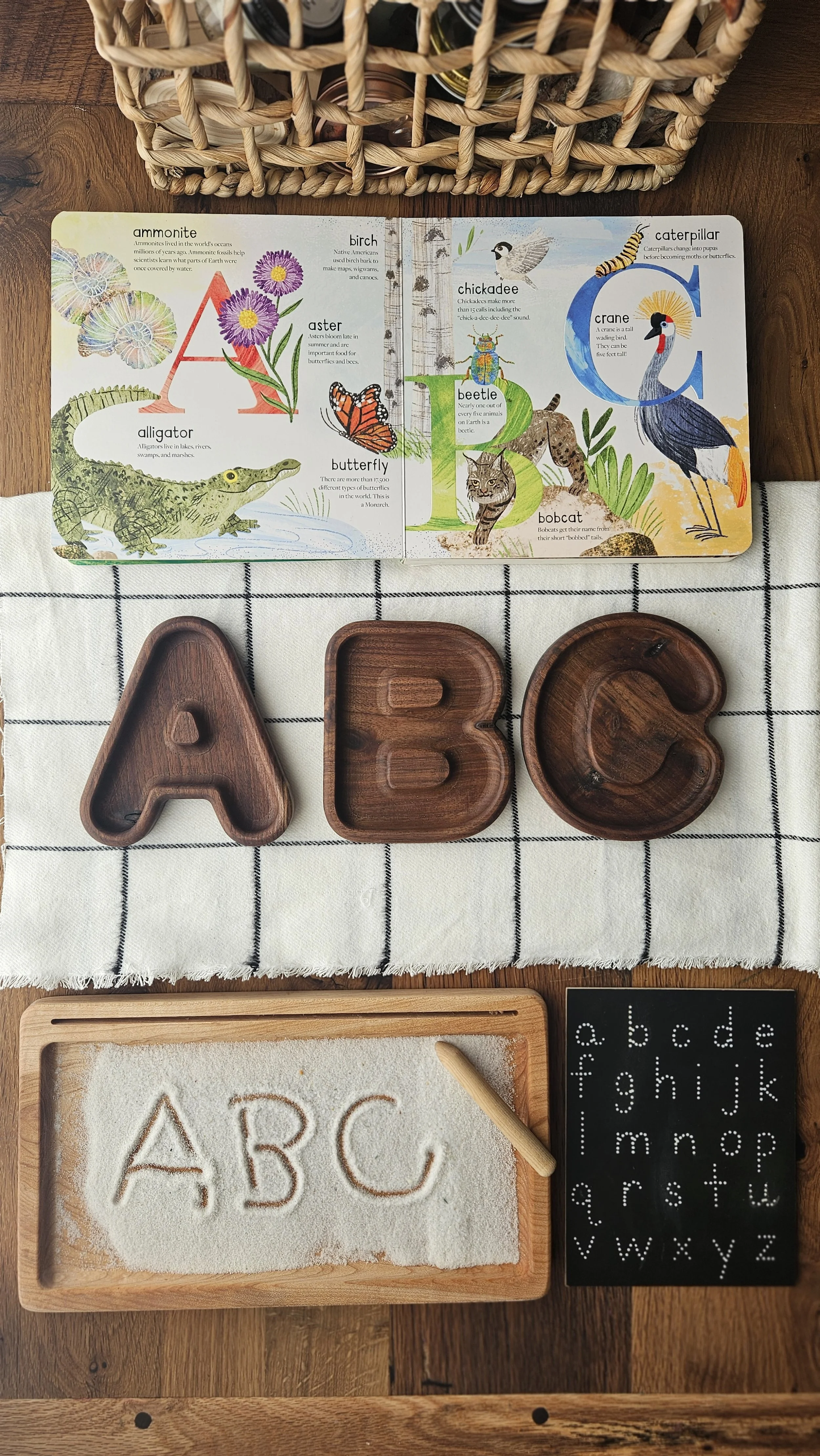 UPPERCASE alphabet Trays