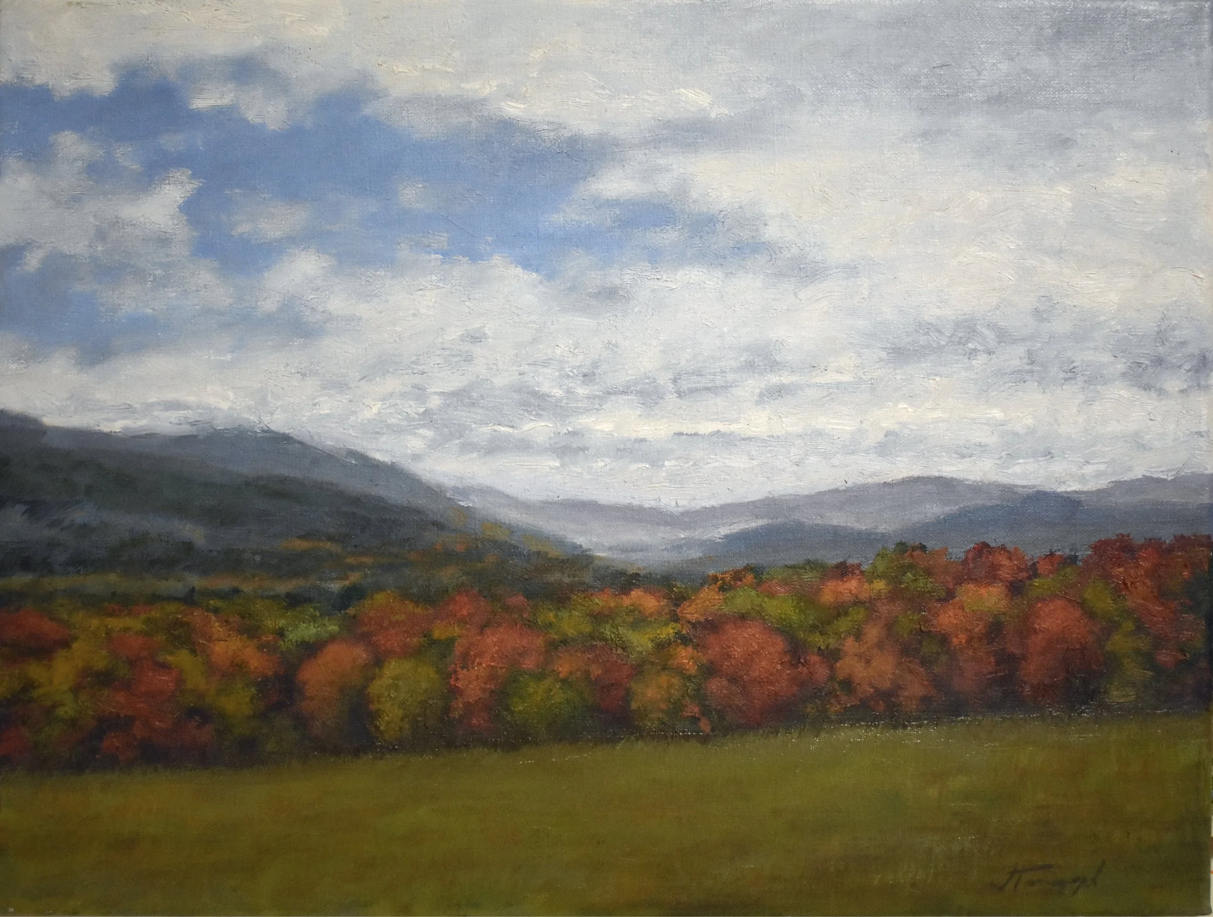 Berkshire Tree Line, 12" x 16"