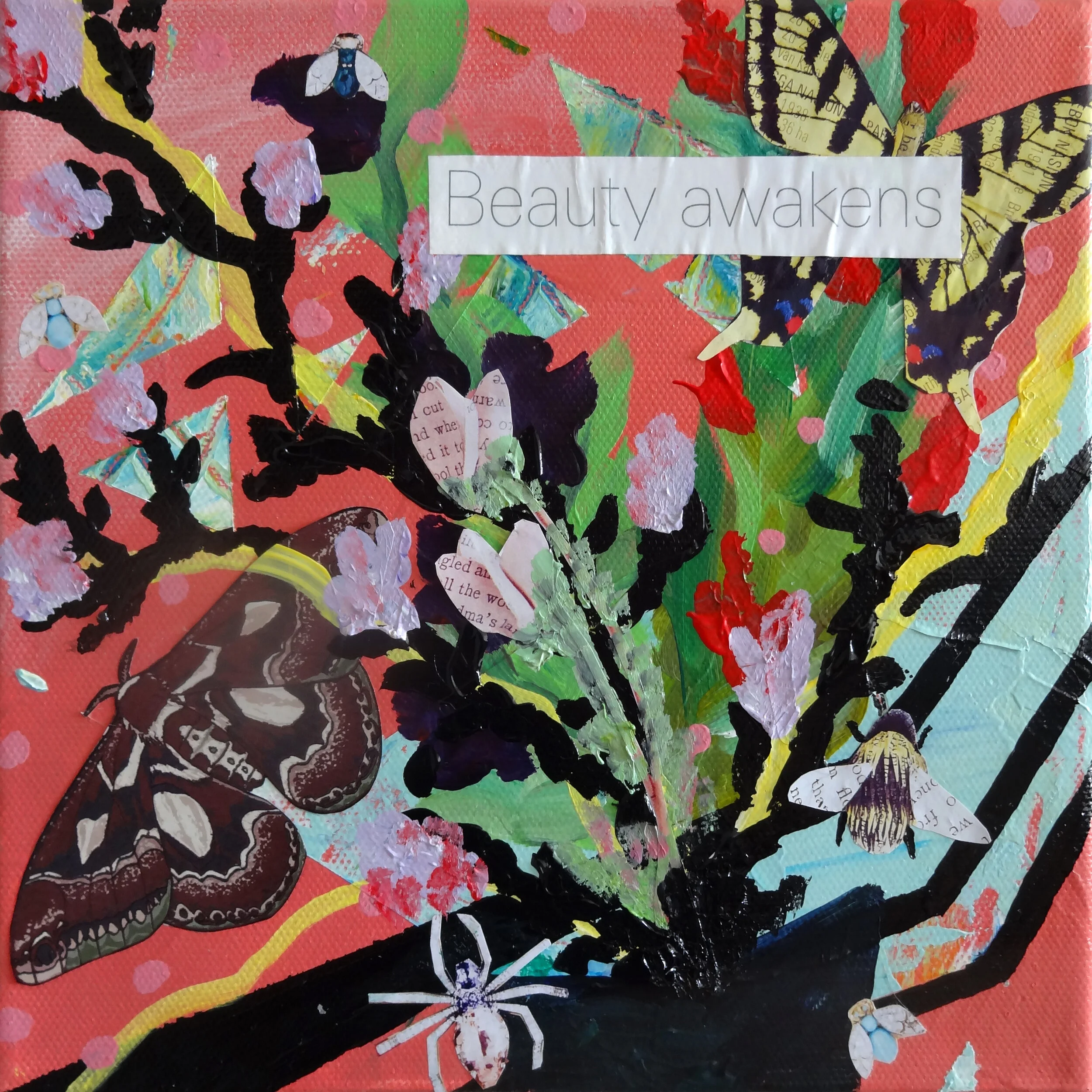 Chrysalis // 8"W x 8"H