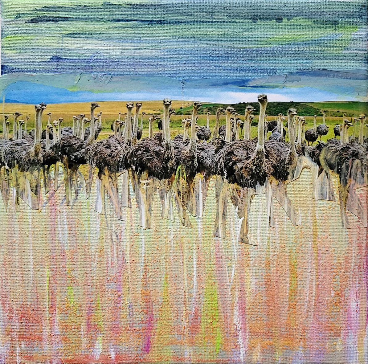 Head in the Ground // 8"W x 8"H