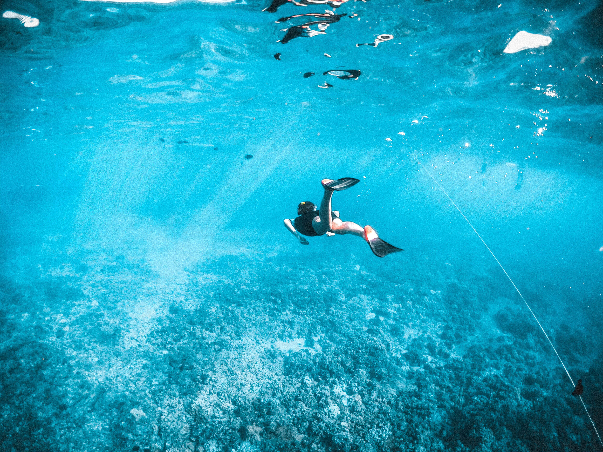 Florida Dive Trip