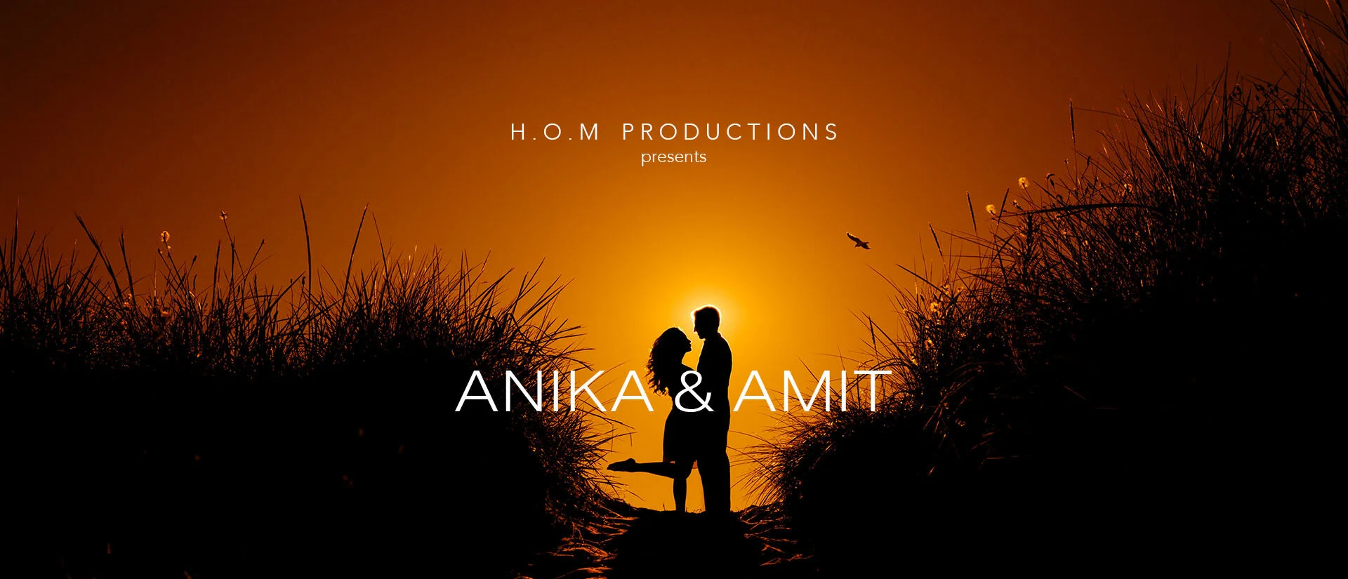 Anika & Amit's Highlights