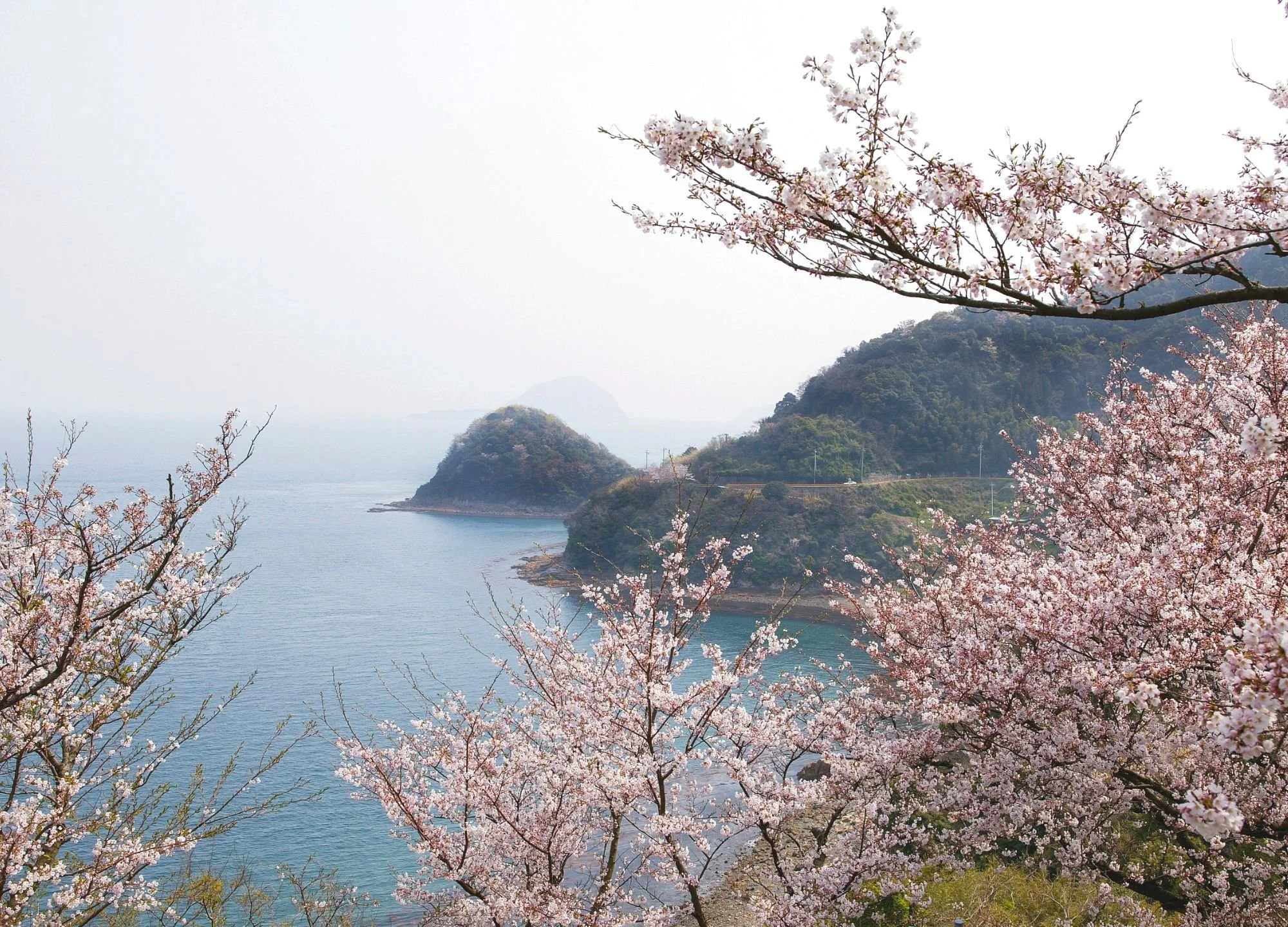 Is It Really Possible to Break Unhealthy Relationship Patterns and Be Happy Together?