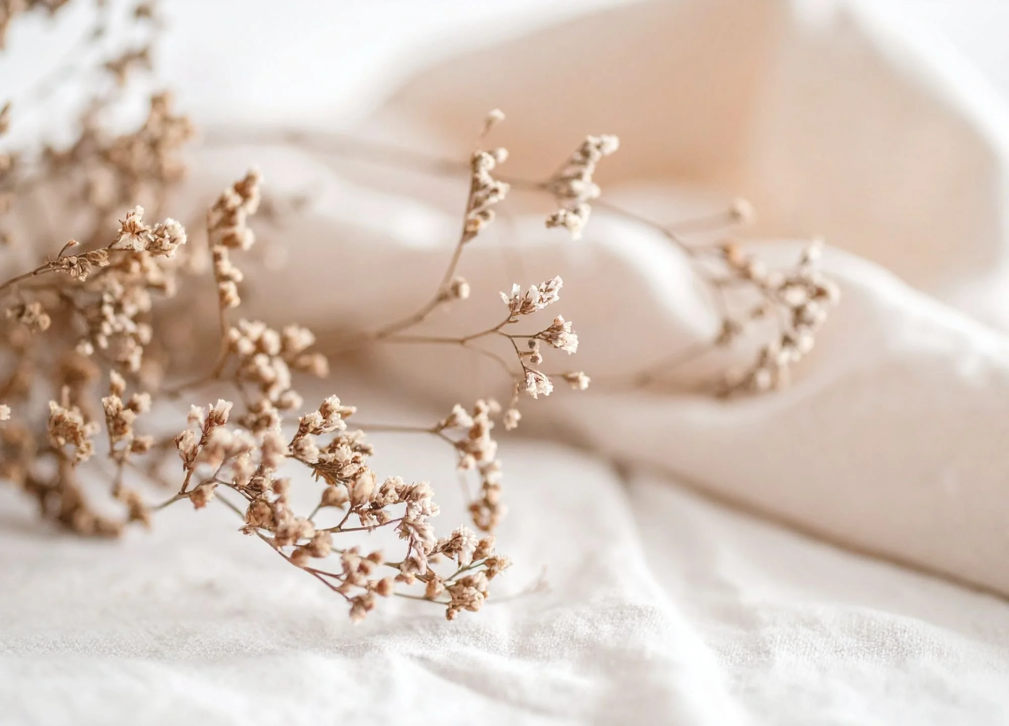 defensive relationship