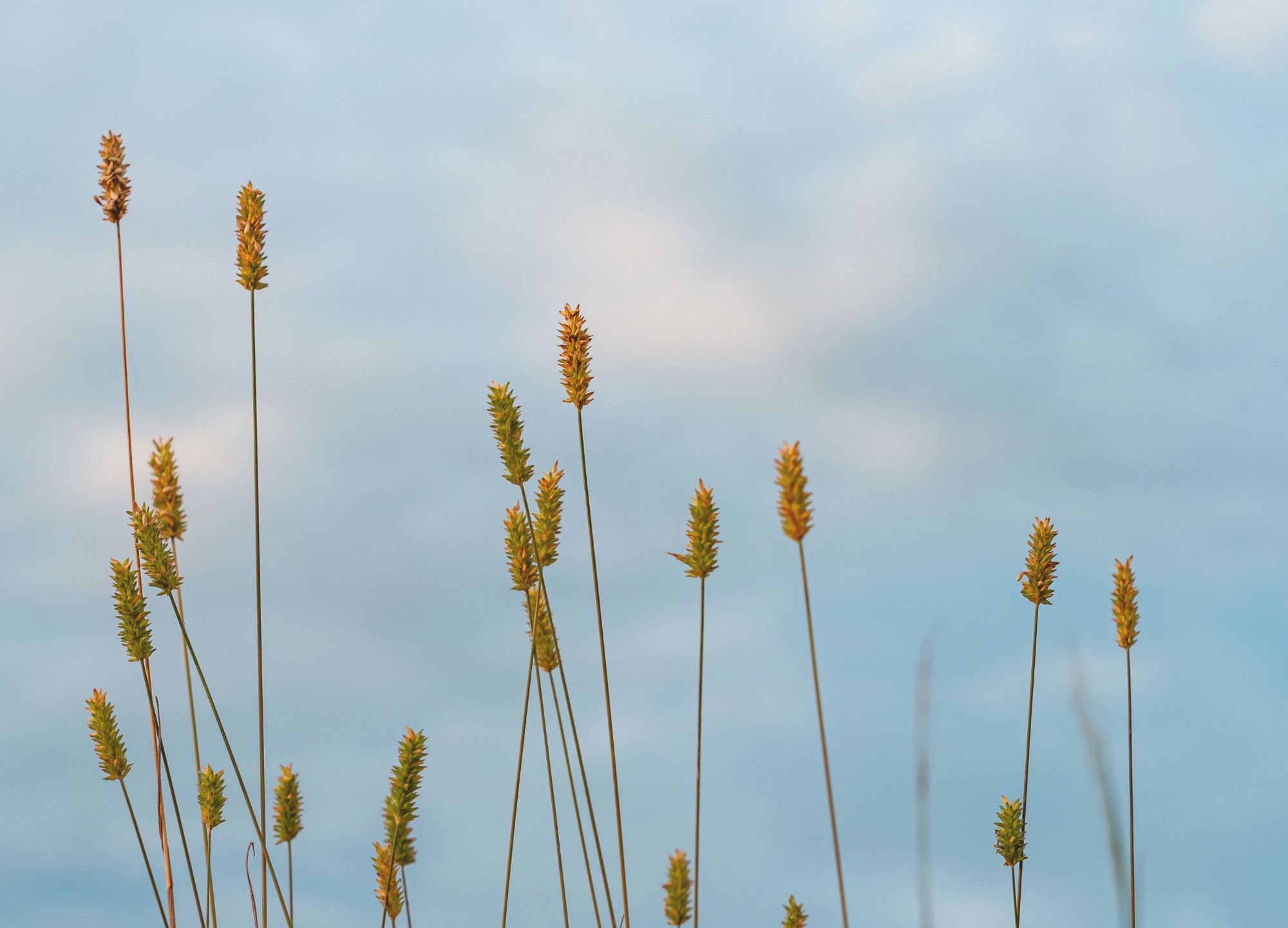 When little misunderstandings keep becoming big relationship battles