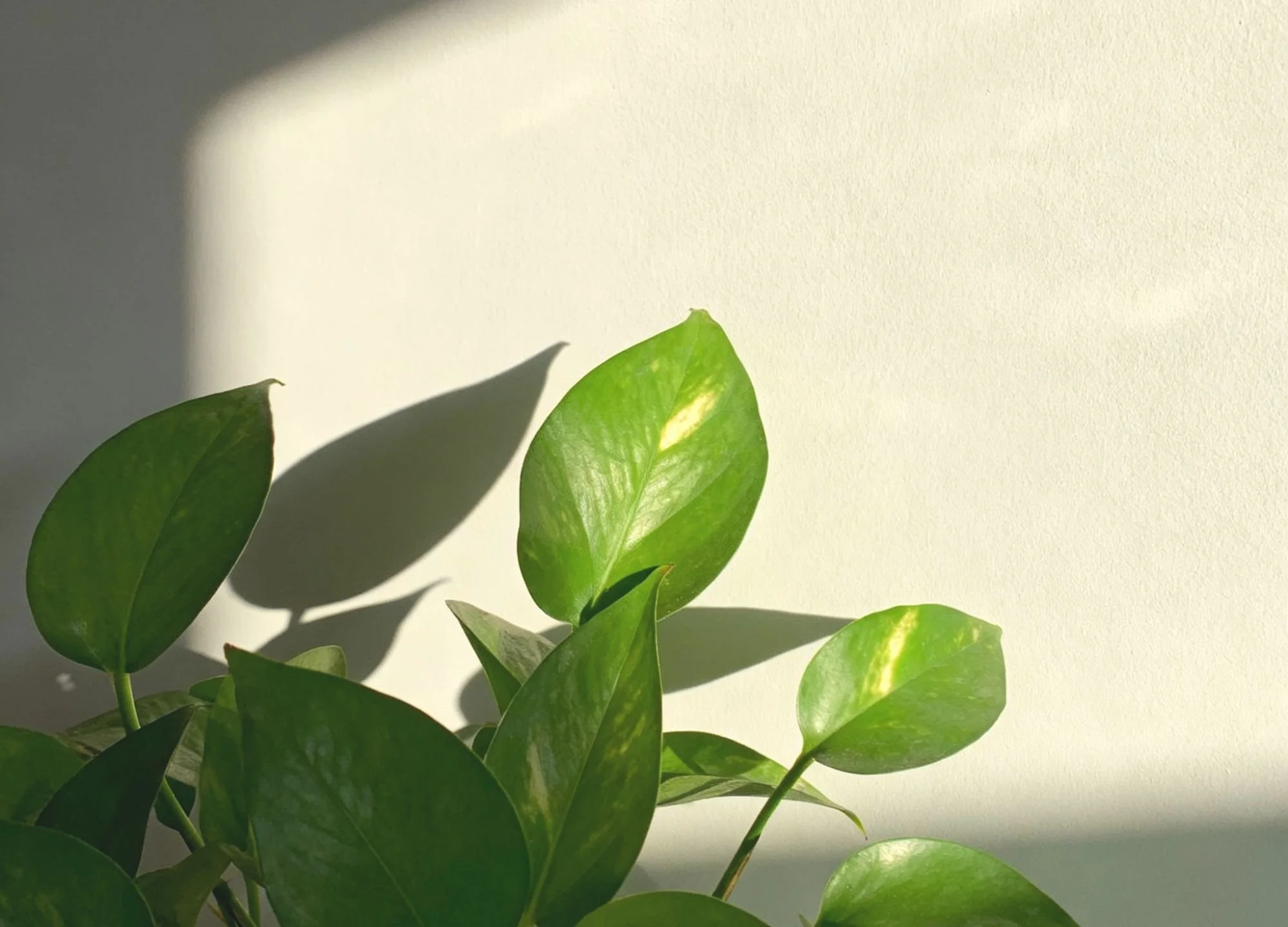 arguing in a relationship