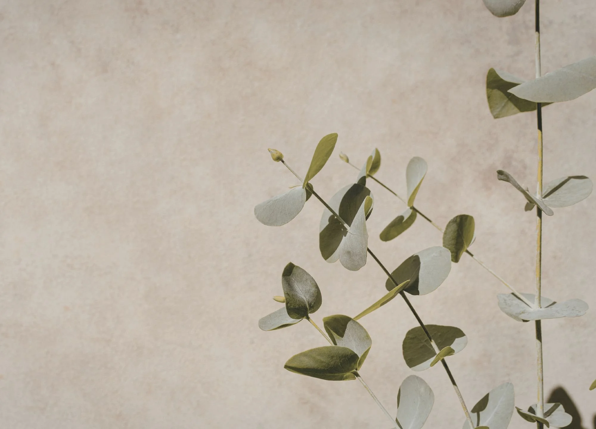 examples of healthy relationships