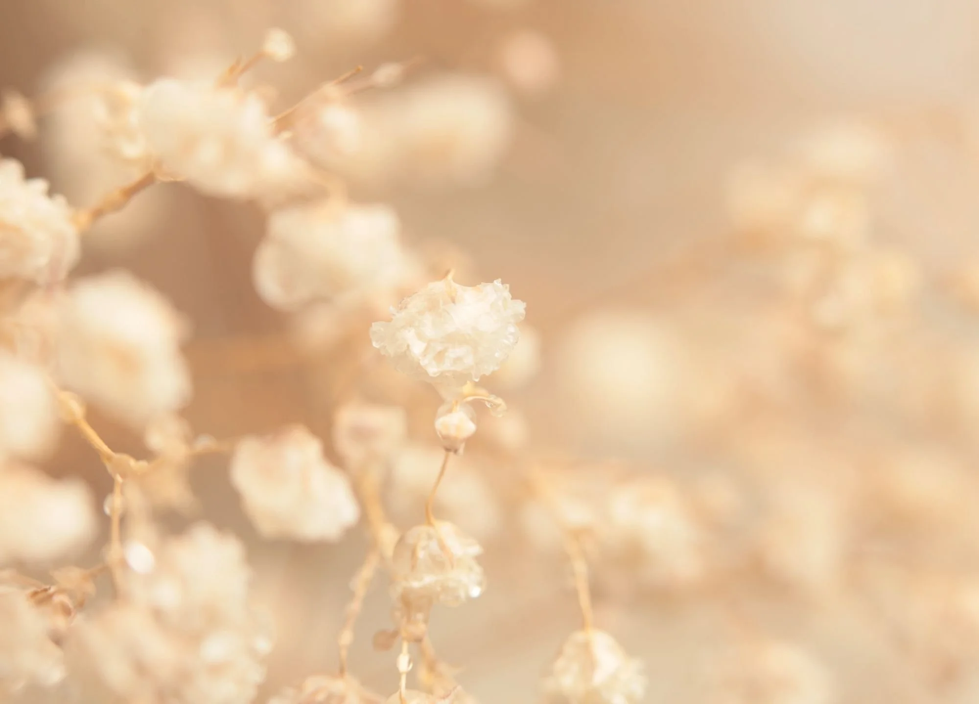 recovering from toxic relationship