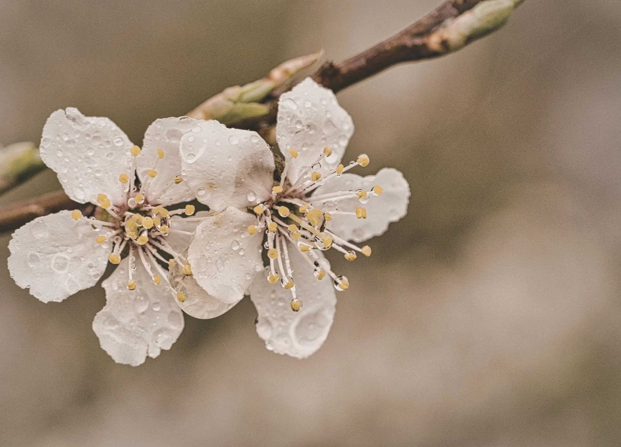 recovering from toxic relationship