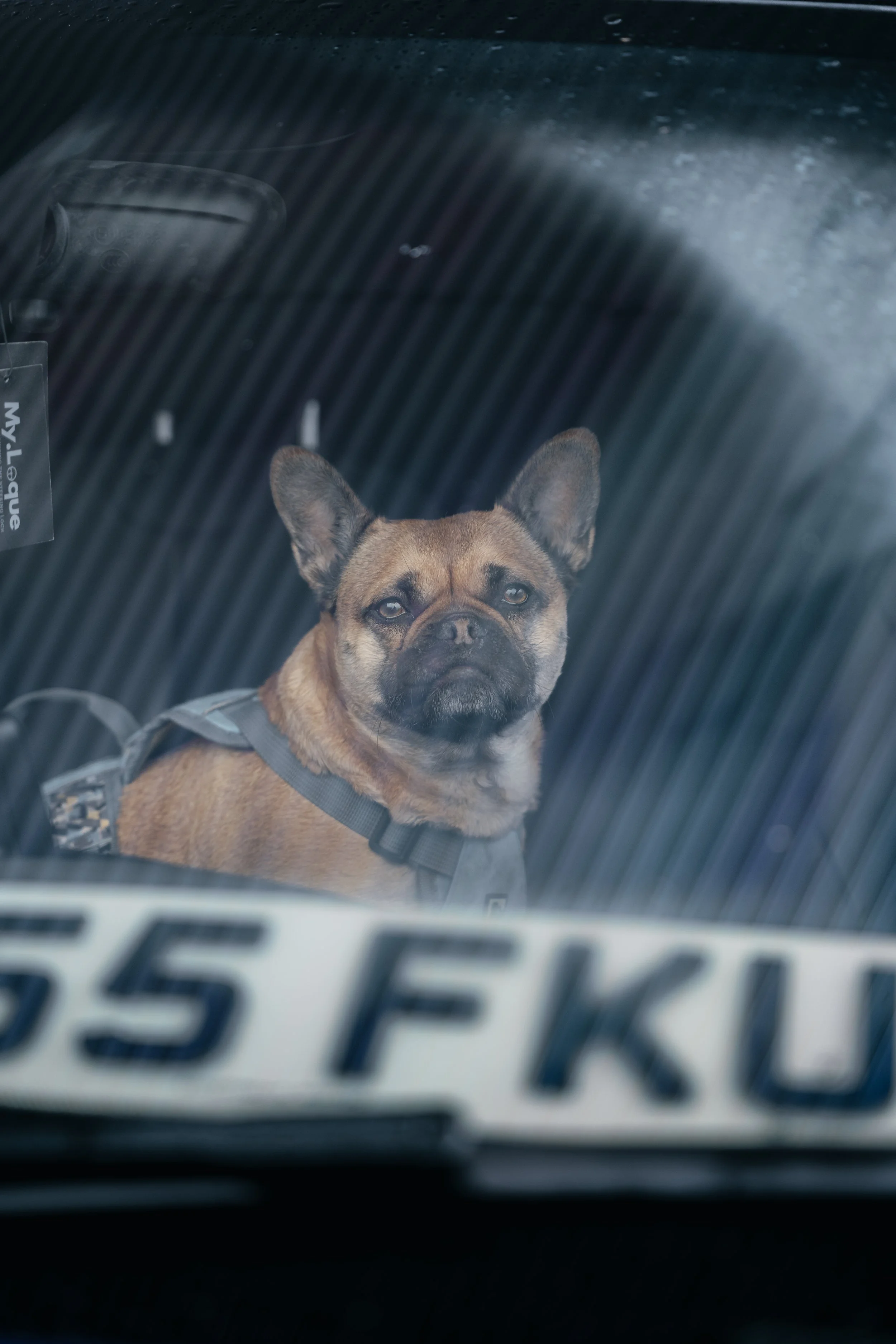 Paul M235i 15.04.2026 (@PrimeFilmsStudio)-49.jpg