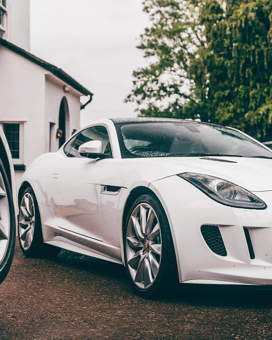 fredmadethis_-and-Mate-F-Type_13.jpg