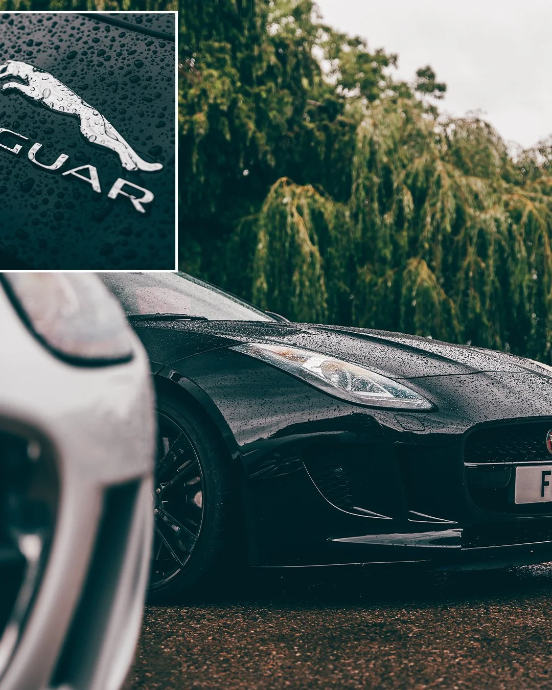 fredmadethis_-and-Mate-F-Type_16.jpg