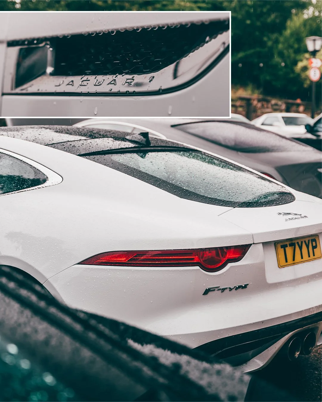 fredmadethis_-and-Mate-F-Type_09.jpg