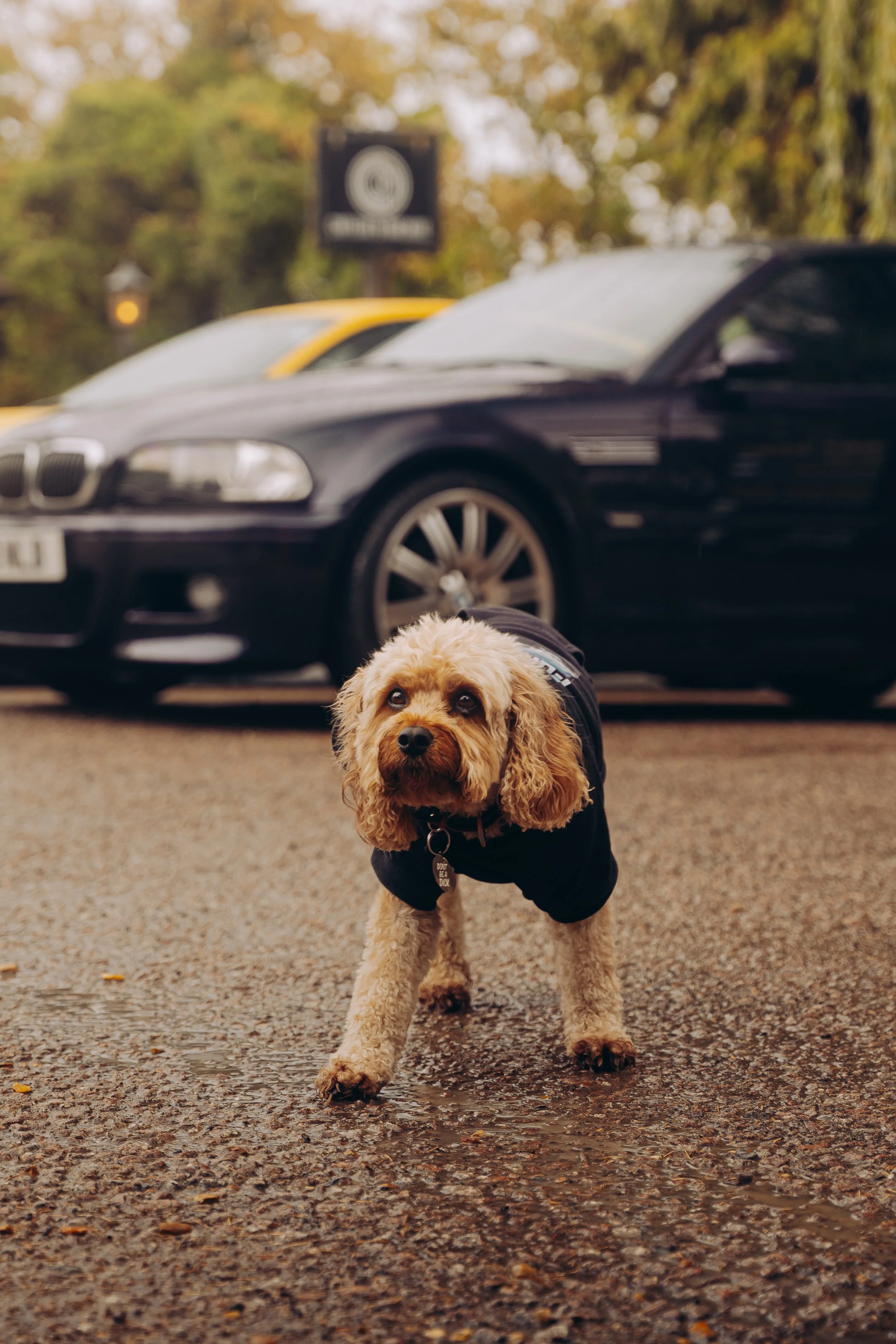 e46kxng (@PrimeFilmsStudio)-20.jpg