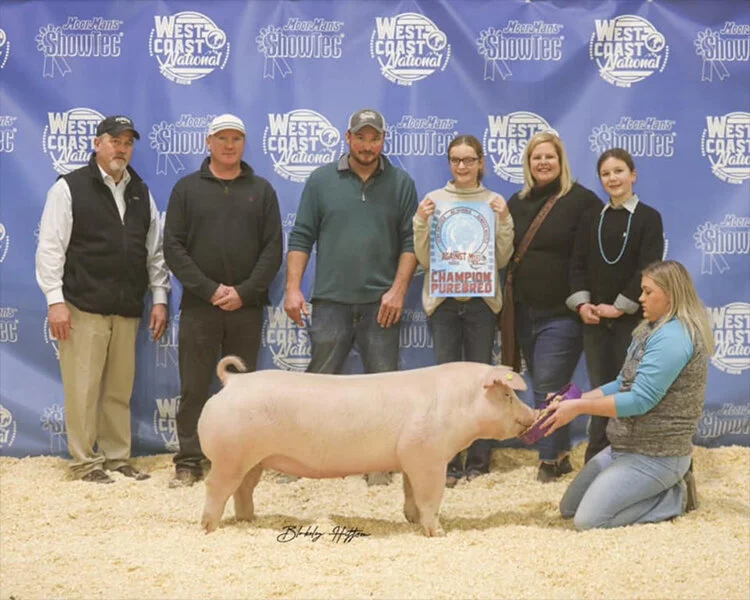 Reserve Champion Chester Gilt 2020 West Coast National Swine Show Shown by Emma Lane Products Used: Bulk Up and Carve Up