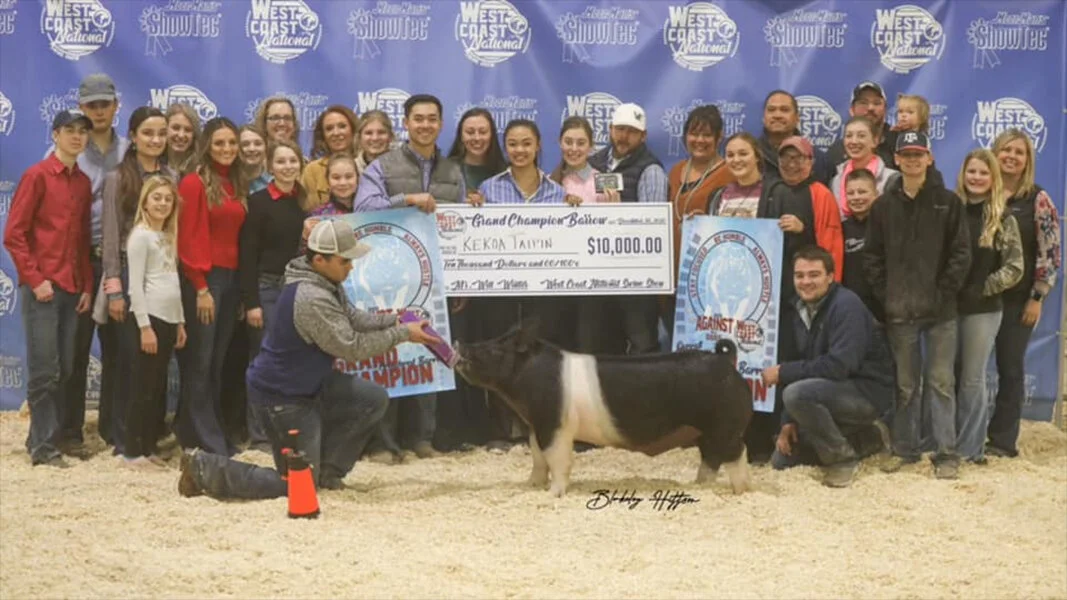 Grand Champion Barrow Champion Crossbred Barrow Champion Division 3 Barrow 2020 West Coast National Swine Show Shown by Kekoa Taipin Products Used: Ushield, Lung Aid, SuperDerm