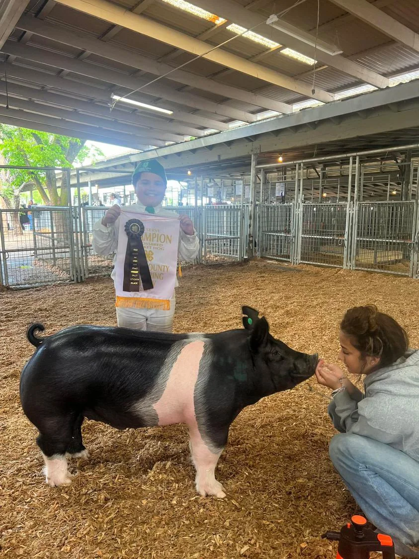 Yolo Spring Show  Reserve Champion Cross  Shown by Jase Giminez  (Copy)